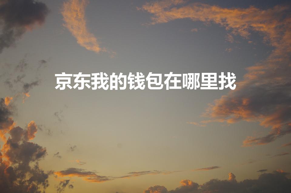 京东我的钱包在哪里找(京东账户余额在哪里找到)