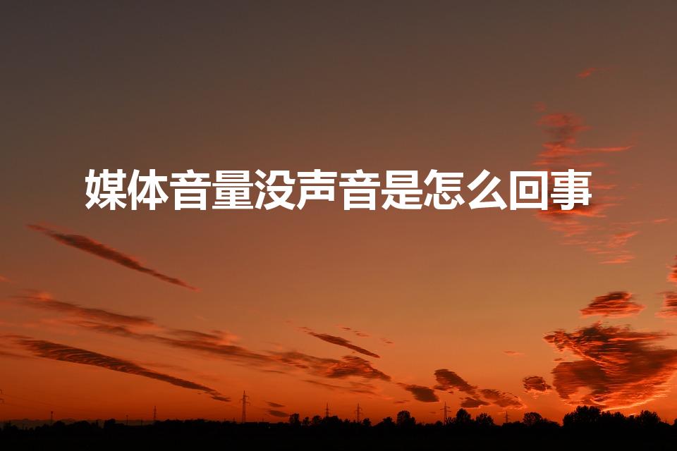 媒体音量没声音是怎么回事（多媒体播放没有声音是怎么回事）