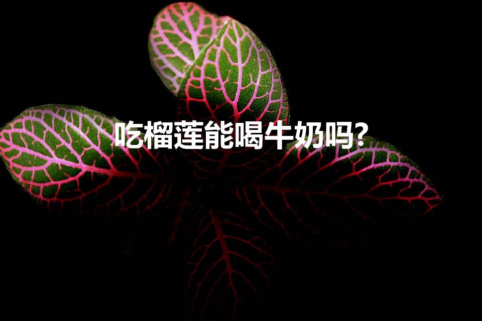 吃榴莲能喝牛奶吗?（吃完榴莲不能喝牛奶）