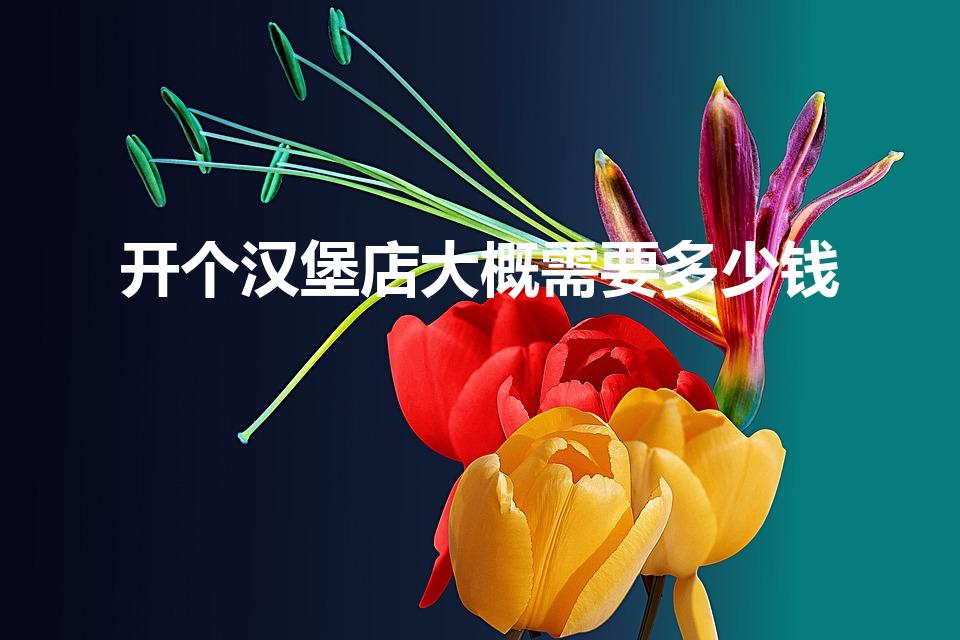开个汉堡店大概需要多少钱（开一家汉堡店需要多少成本）