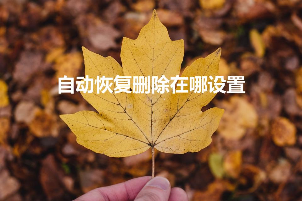 自动恢复删除在哪设置（手机自动恢复删除的照片 教你一招）