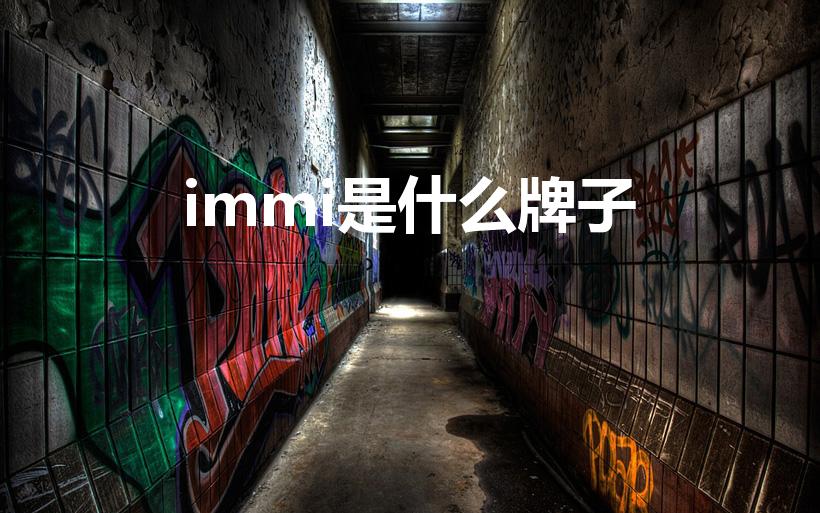 immi是什么牌子（immi品牌介绍）