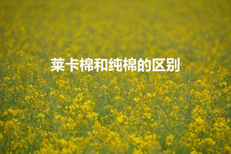 莱卡棉和纯棉的区别（莱卡面料有什么特点）