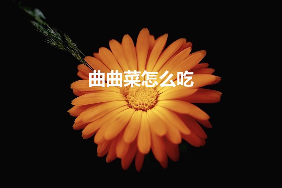 曲曲菜怎么吃（曲曲菜可以包饺子吃吗 曲曲菜能包饺子吃吗）
