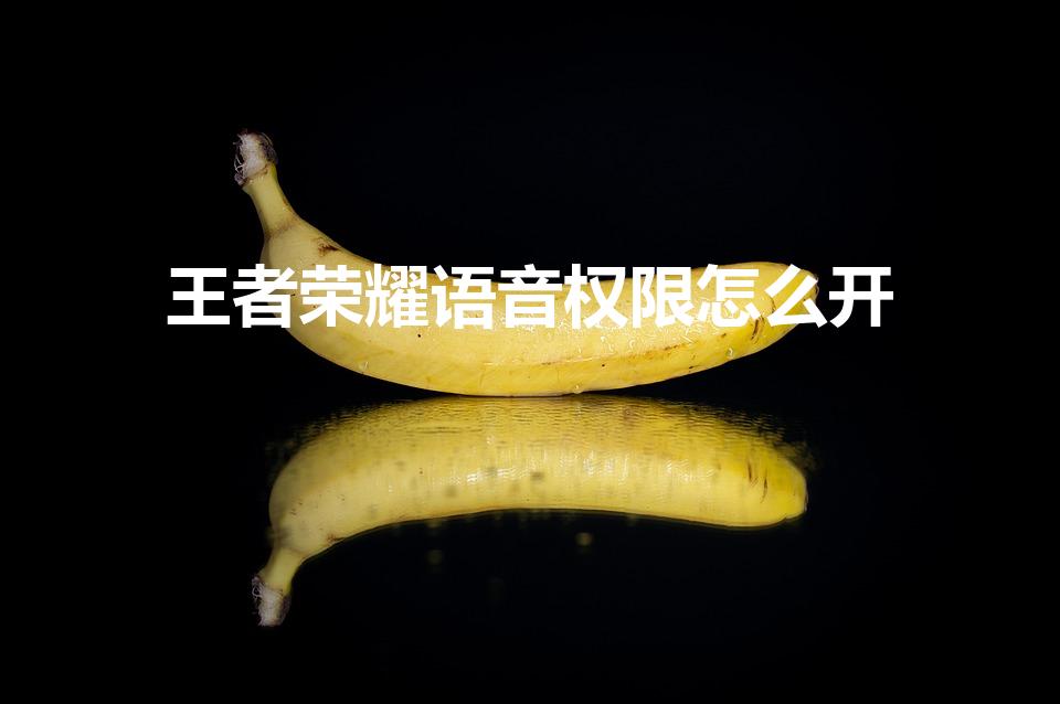 王者荣耀语音权限怎么开（王者荣耀语音权限在哪里设置打开）