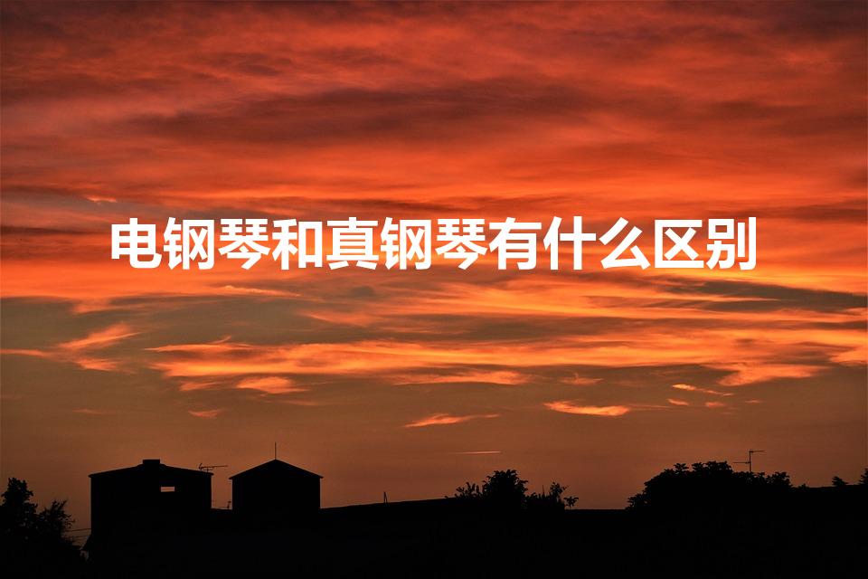 电钢琴和真钢琴有什么区别（电钢琴和真钢琴的区别是什么）