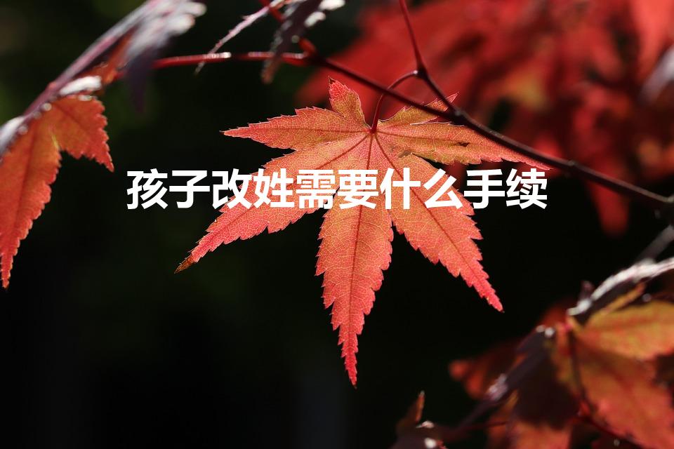 孩子改姓需要什么手续（小孩改姓需要什么条件）