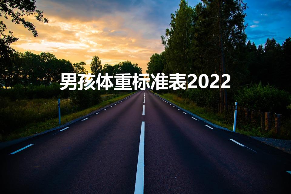男孩体重标准表2022（2022男士标准体重表）