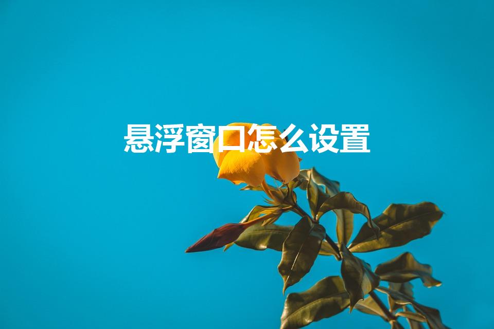 悬浮窗口怎么设置（手机怎么开启悬浮窗）