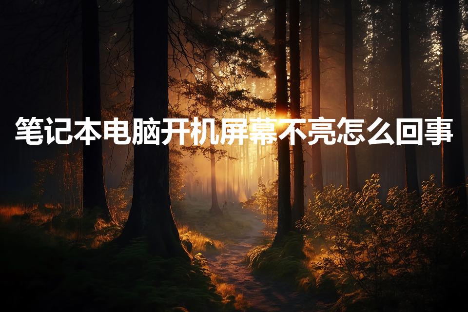 笔记本电脑开机屏幕不亮怎么回事