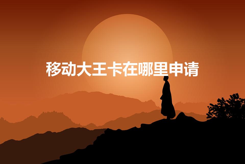 移动大王卡在哪里申请（移动大王卡怎么办理）