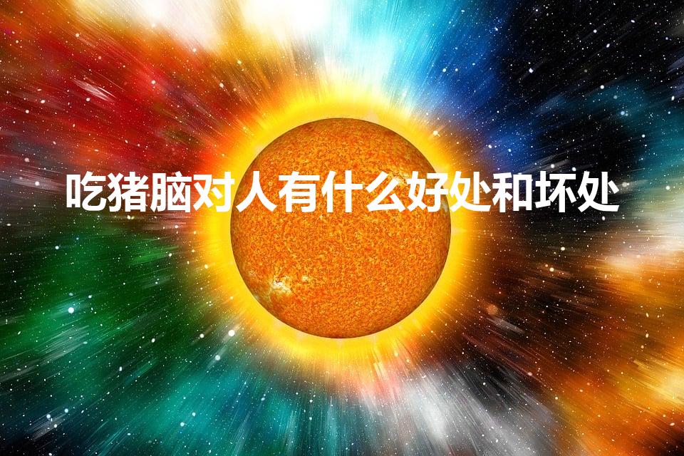 吃猪脑对人有什么好处和坏处（猪脑的功效与作用禁忌）