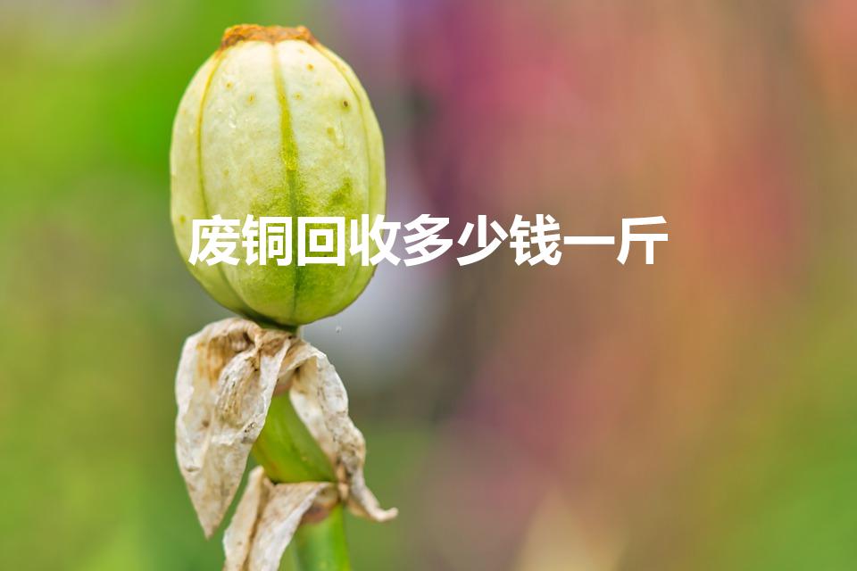 废铜回收多少钱一斤（2023废铜回收价一斤多少元）