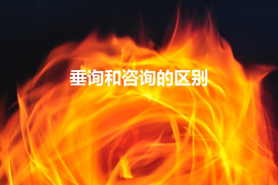 垂询和咨询的区别（“咨询”与“垂询”区别在哪）