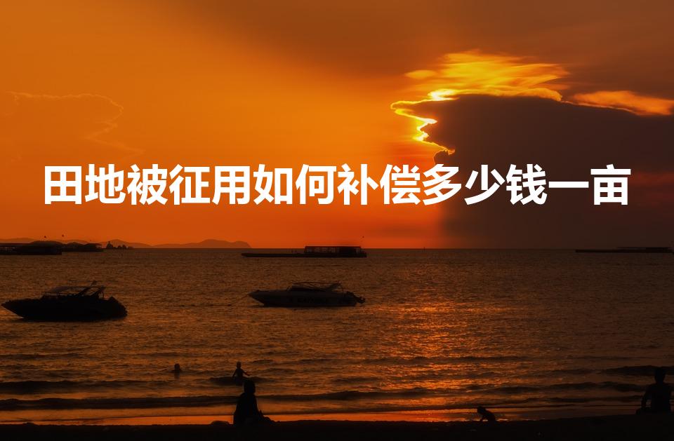 田地被征用如何补偿多少钱一亩（征用土地多少钱一亩）
