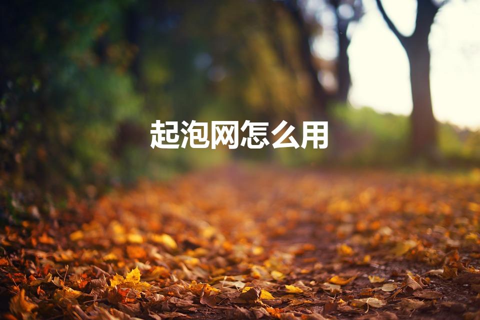起泡网怎么用（买洗面奶送了一个网,怎么用）
