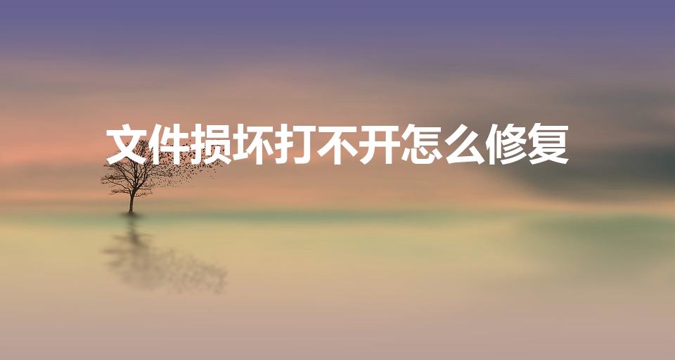文件损坏打不开怎么修复（电脑文件损坏打不开怎么修复）