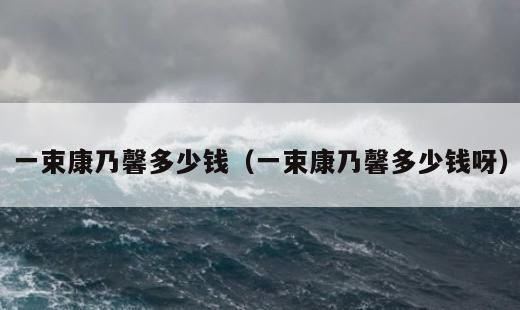 一束康乃馨多少钱？一束康乃馨多少钱呀