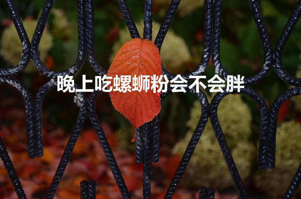 晚上吃螺蛳粉会不会胖（螺蛳粉发胖吗）