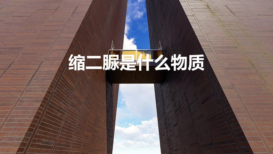 缩二脲是什么物质（缩二脲是什么）