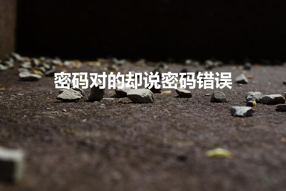 密码对的却说密码错误（密码对的却说密码错误是怎么回事）