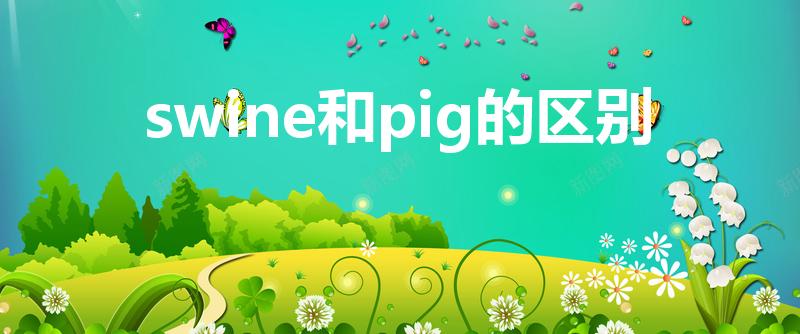 swine和pig的区别（swine 与 pig的分别）