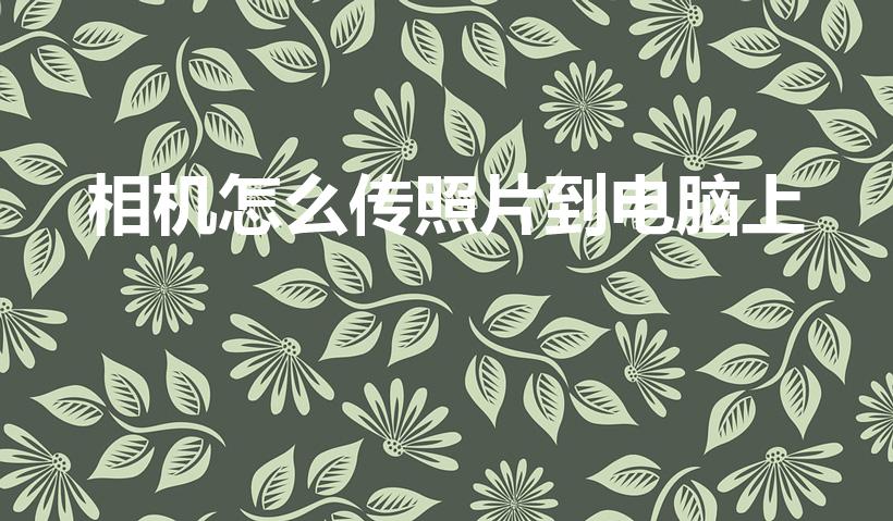 相机怎么传照片到电脑上（相机照片怎么传到电脑）