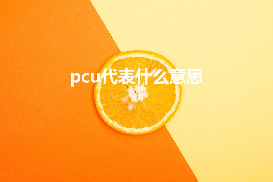 pcu代表什么意思（pcu是什么）