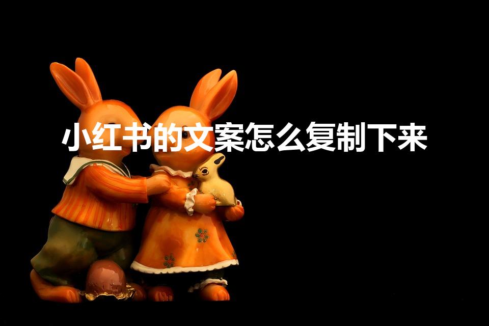 小红书的文案怎么复制下来（小红书文案怎么复制）