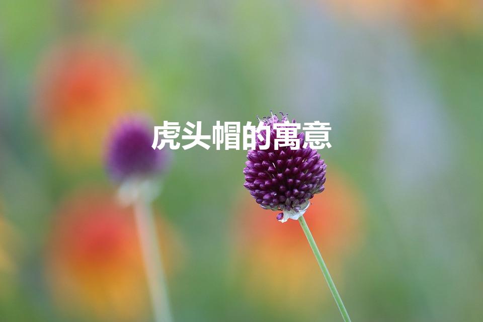 虎头帽的寓意（虎头帽的寓意是什么）