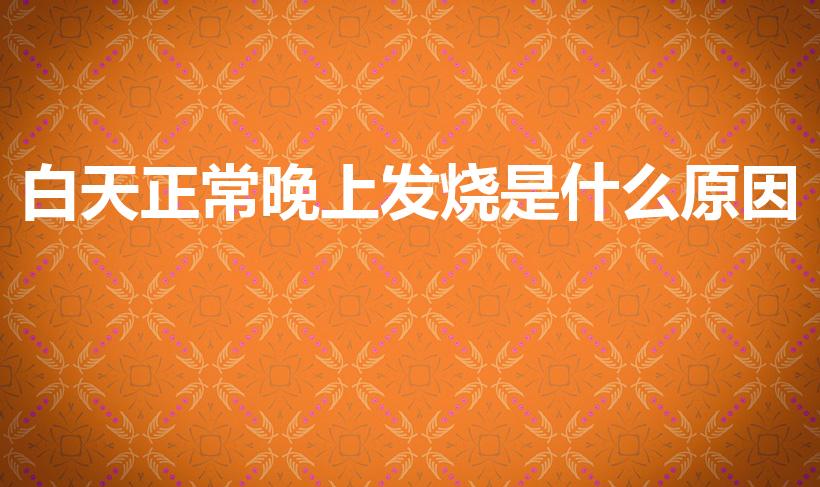 白天正常晚上发烧是什么原因