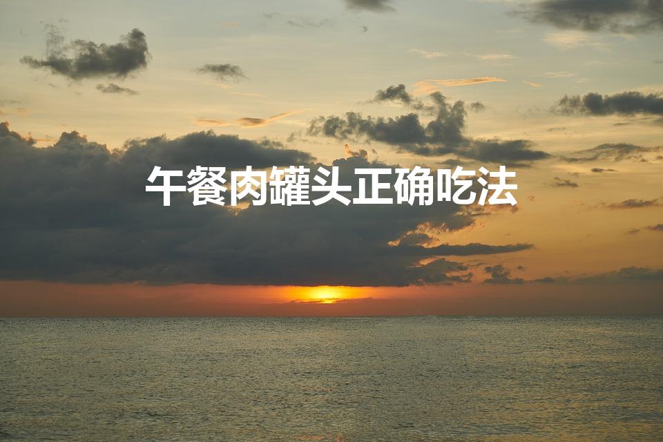 午餐肉罐头正确吃法（午餐牛肉罐头怎么吃）