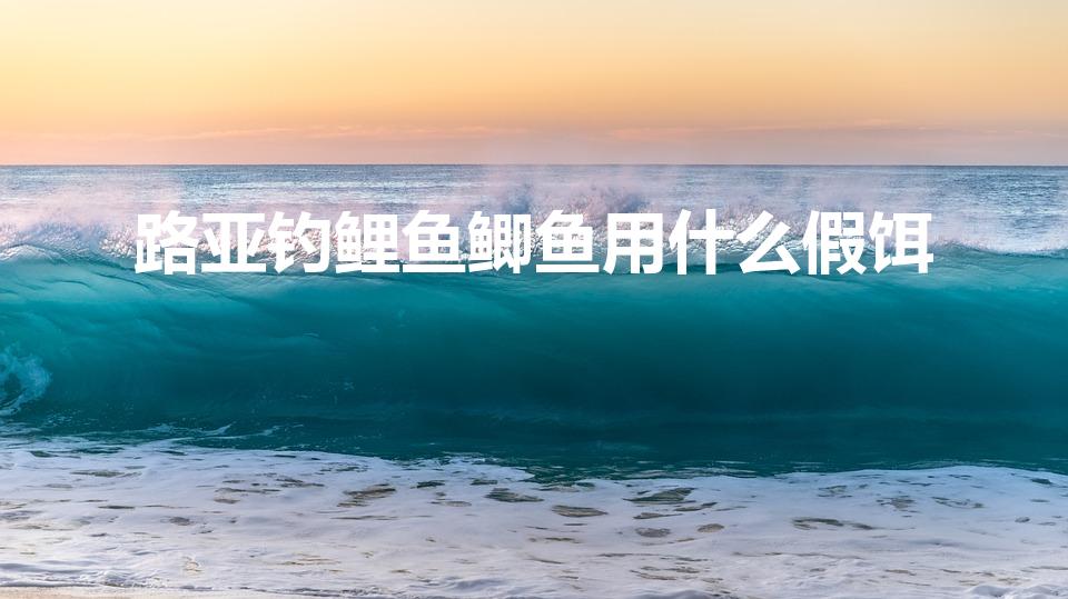 路亚钓鲤鱼鲫鱼用什么假饵（路亚钓鲤鱼用什么假饵）
