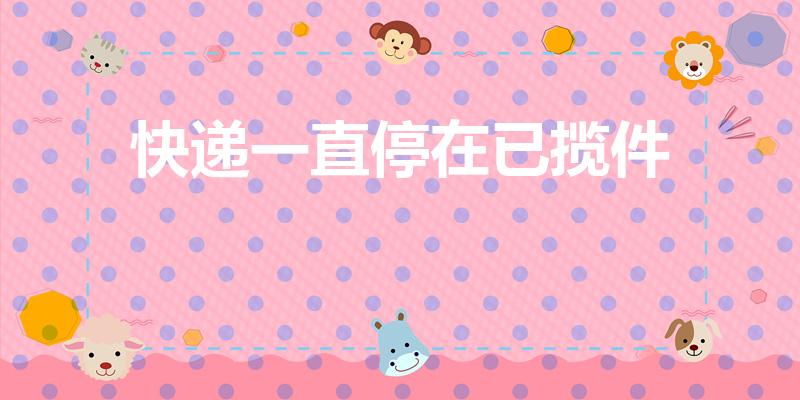 快递一直停在已揽件（快递显示已揽件但一直没动是怎么回事）