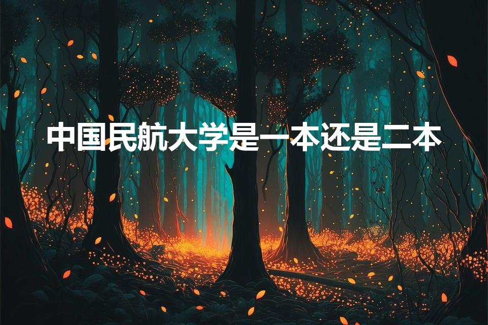 中国民航大学是一本还是二本（中国民航大学是几本）