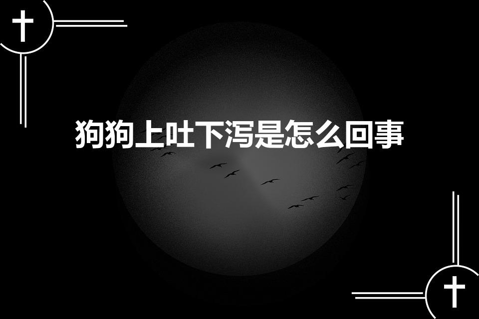 狗狗上吐下泻是怎么回事（狗狗又吐又拉稀。,是什么原因呢）