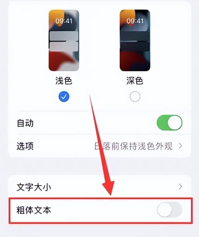 iphone字体大小怎么设置（怎么改苹果手机系统字体）