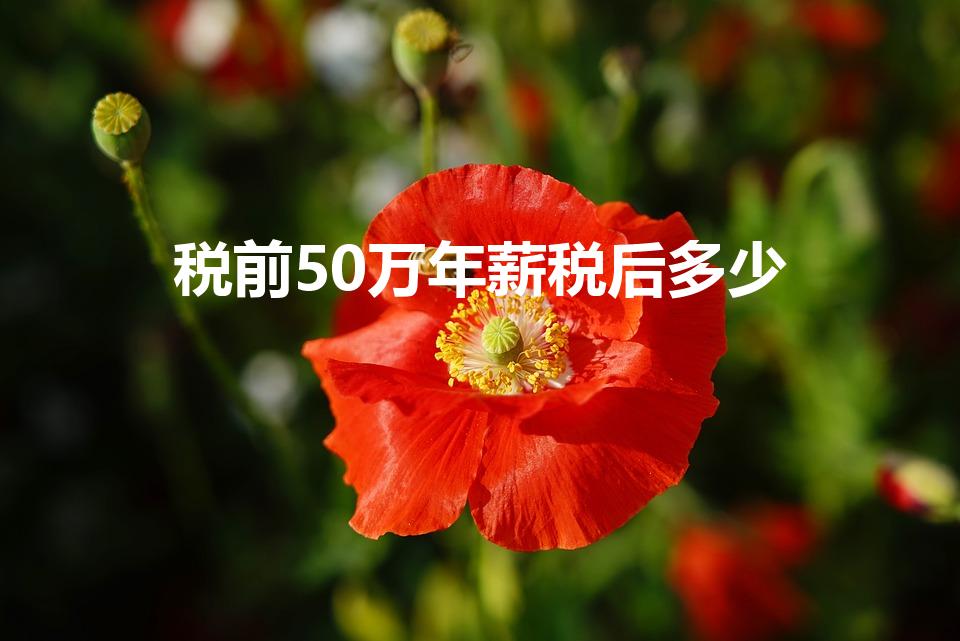 税前50万年薪税后多少（年薪50万税后多少）