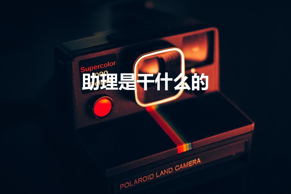 助理是干什么的（助理是干什么的 助理做哪些事）