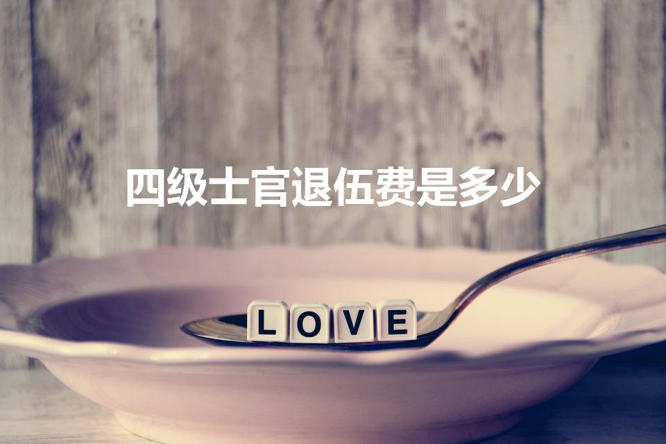 四级士官退伍费是多少（四期士官退伍能拿多少退伍费）