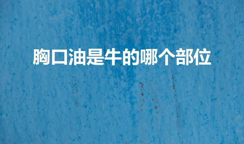 胸口油是牛的哪个部位（胸口油是牛的什么）