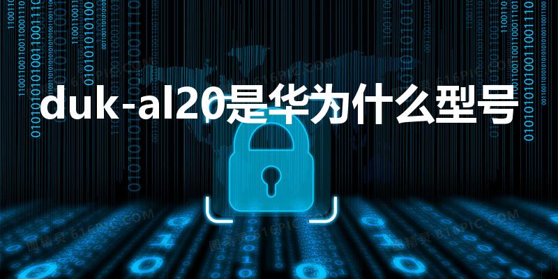 duk-al20是华为什么型号