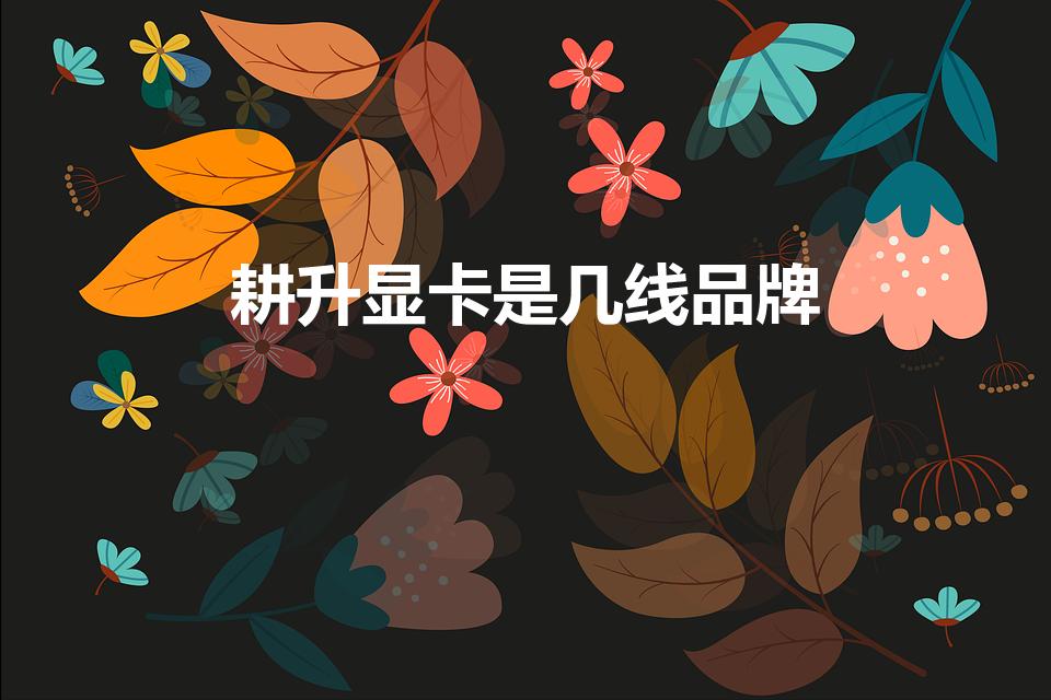 耕升显卡是几线品牌（电脑显卡一线二线三线什么意思）