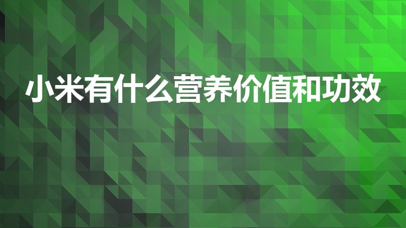 小米有什么营养价值和功效（小米的营养价值及功效有哪些）