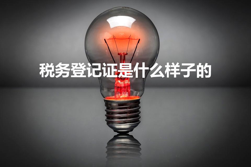 税务登记证是什么样子的（税务登记证是什么三证合一了吗）
