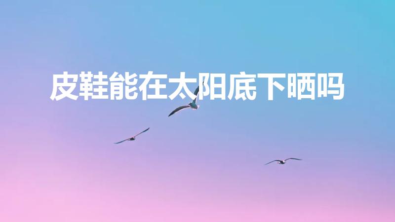 皮鞋能在太阳底下晒吗（皮鞋能晒太阳吗）