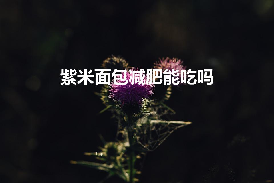 紫米面包减肥能吃吗（紫米面包的热量是多少）