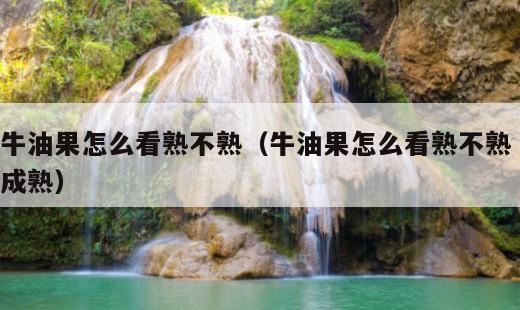 牛油果怎么看熟不熟？牛油果怎么看熟不熟 成熟