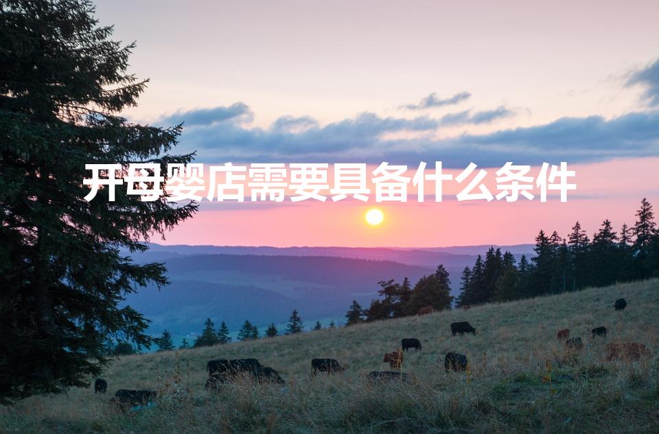 开母婴店需要具备什么条件（开一家母婴用品店需要什么手续）