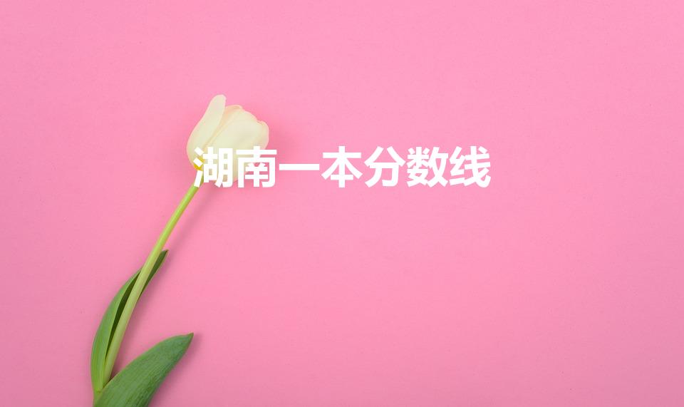 湖南一本分数线（湖南高考分数线）